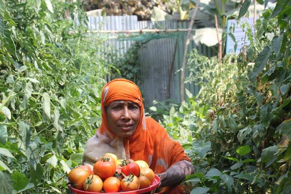 harvesting hope Oxfam Mukti (12).jpg